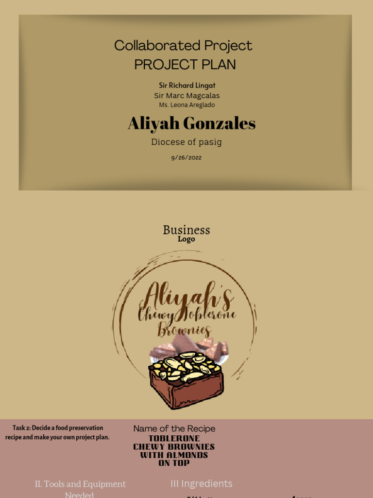 Collaborated Project PROJECT PLAN | PDF