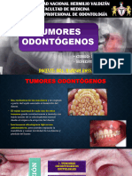 Semana 7 - Tumores Odontogenos