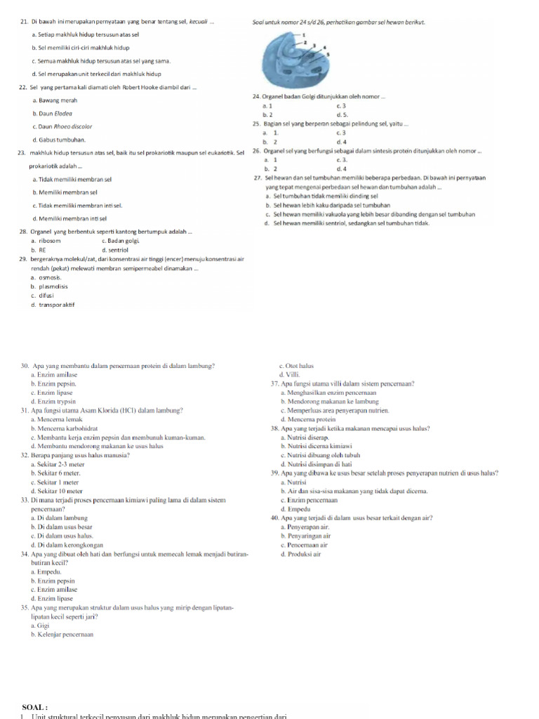 Sel 8 | PDF
