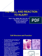 Lecture 3 - The Cell and Reaction To Injury - 2 Sep 2006