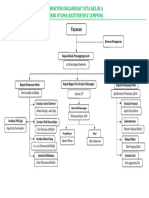 Revisi SOTK Klinik