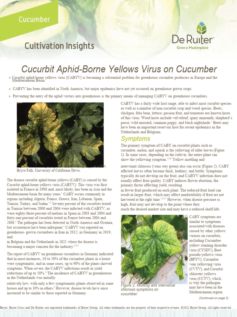 9057_DR_S5_Cucurbit AphidBorne Virus on Cucumber (1) PDF Virus