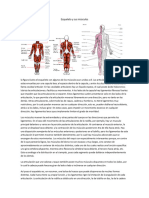 Sistema Musculo Esqueletico, Fisiologia.