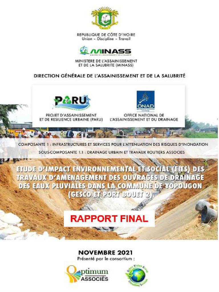 Rapport Final Def Eies | PDF