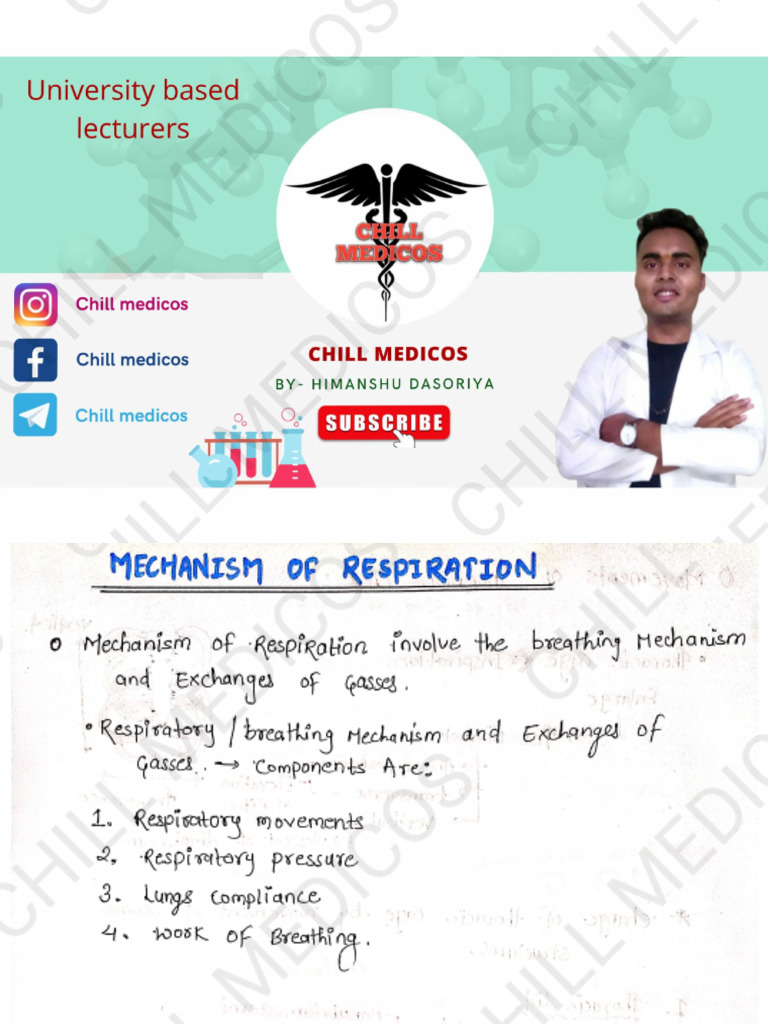 RESPIRATORY SYSTEM ANATOMY AND PHYSIOLOGY NOTES PDF visual data 6
