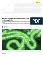 Así Se Están Usando Las Algas Microscópicas para Sustituir Al Plástico