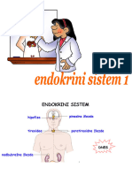 Endokrini Sistem 1 2014 15