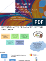 Determinantes de La Salud - Sistema Sanitario - Irm. Diana Pástor - Irm. Daniela Torres