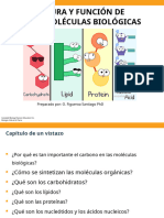 est 2023 moleculas organicas _9c33d87b53e3c4bd534d98480d7d8087.en.es