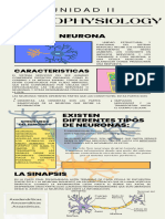 Infografía de Periódico Moderno Ordenado Colorido