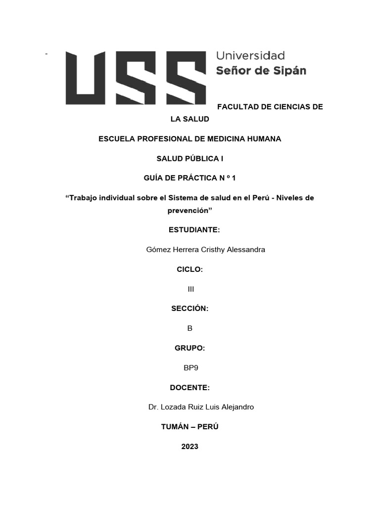 Sistema de Salud en Perú: Prevención y Servicios | PDF | Medicina ...