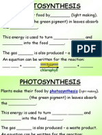 Photosynthesis Summary Paragraph