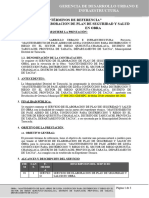 4.0 TDR Plan de Seguridad