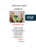 Informe Del Medio Ambiente