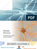 M1 Tema 2 Neuroanatomía y Sus Conceptos Principales