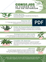 Infografía Guía Cuidado de Plantas Ilustrada Verde Blanco