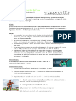 Atletismo-Lançamento Do Peso PDF