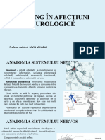 Nss Neurologie