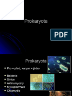 1A Prokaryota