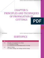 Agr232 - c5 Principles and Techniques of Propagation by Cuttings
