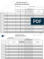 Reporte Diario de Producción Rev.06