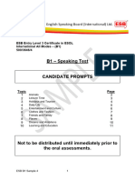 ESB B1 Sample Candidate Prompts