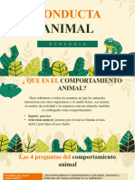 Comportamiento Animal