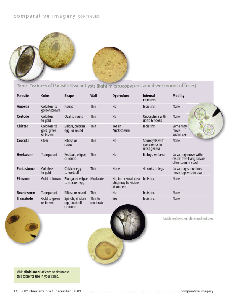 Chart of Parasite | PDF | Egg