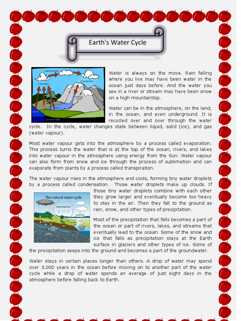 Water Cycle | PDF | Home & Garden | Science & Mathematics
