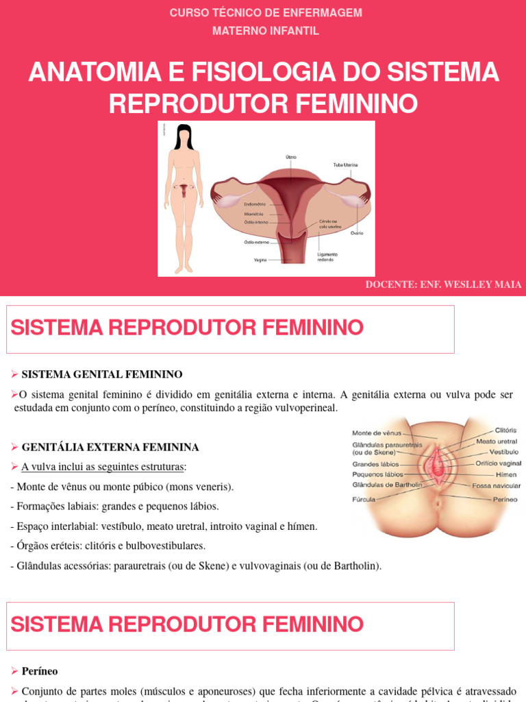 Anatomia e Fisiologia do Sistema Reprodutor Feminino | PDF | Autoajuda