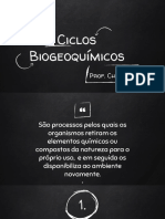 Ciclos Biogeoquímicos