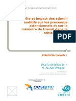 Rôle Et Impact Des Stimuli Auditifs Sur Les Processus Attentionnels Et Sur La Mémoire de Travail Dans La Schizophrénie