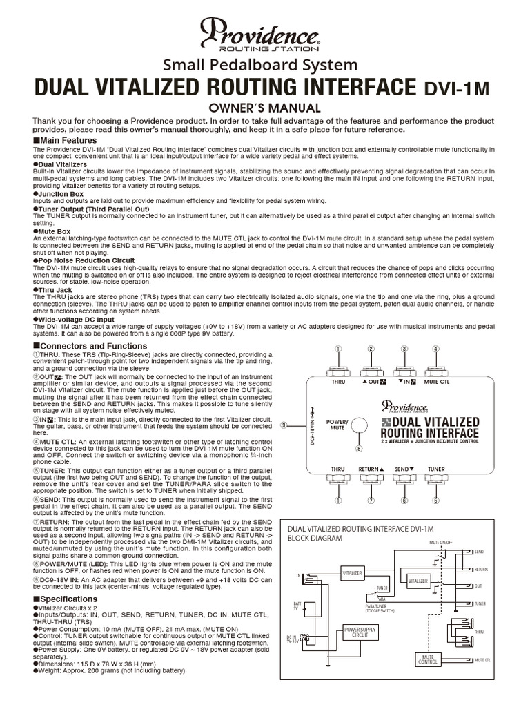 Dual Vitalized Routing Interface Manual | PDF | Switch | Electric Power