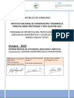 9 Informe Octubre 2023 ICF PPAT TSAF - Alex Mejia