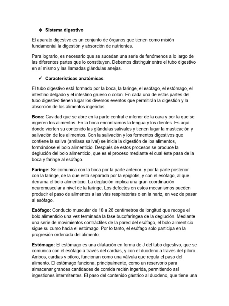 Sistema Digestivo Descargar Gratis Pdf Digestión Sistema
