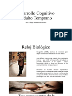 Desarrollo Cognitivo at