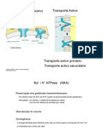 Biofísica2023-2024 - 2-Transporte Activo Primario