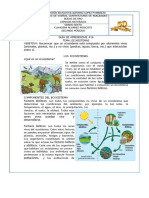 Guia de Aprendizaje 16 Ecosistemas - Compress