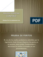 5 - Pericial Contable