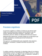 13 - Procesos Cognitivos Sensación y Percepción