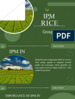 Group 3 IPM in Rice