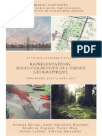 2018 Representations Sociocognitives de L Espace Geographique-Dernat Bronner Depeau Dias Lardon Ramadier