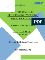 Estructura de La Organizacion