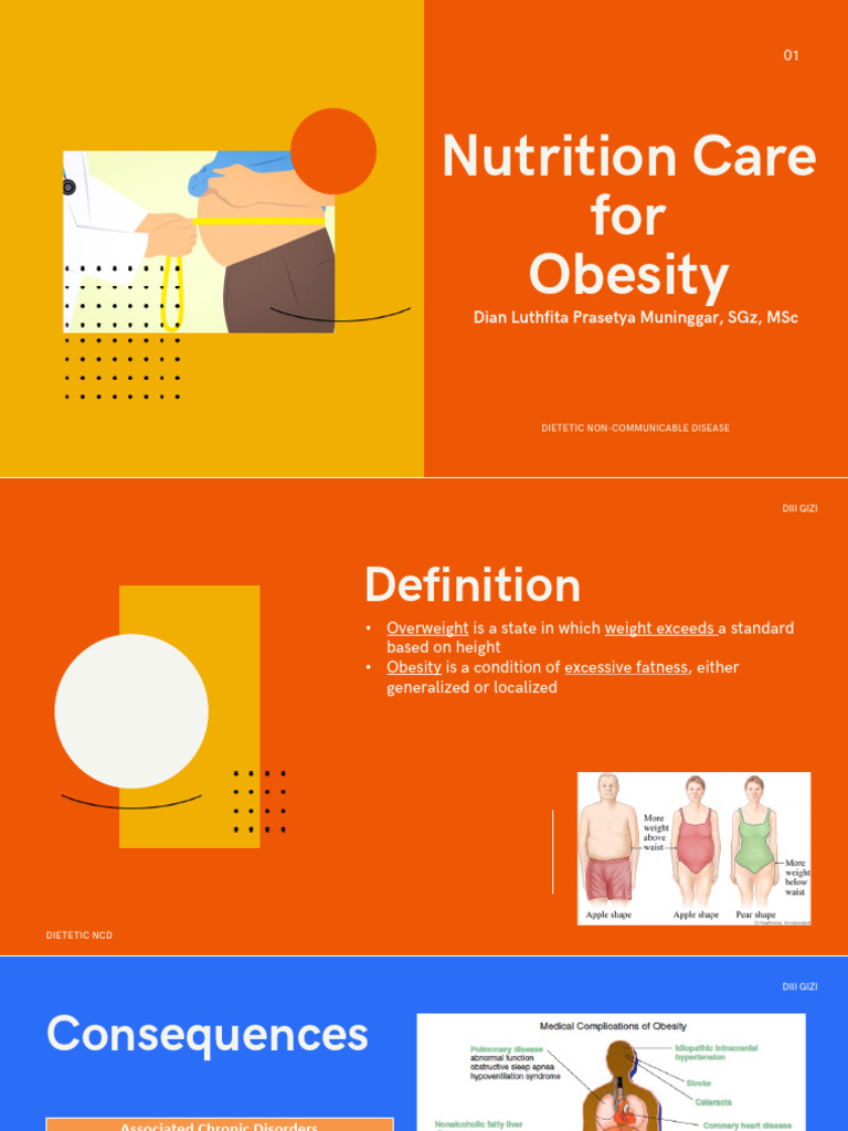 2023 2024 Nutrition Care For Obesity PDF Obesity Dieting