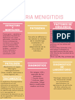 Neiseria Meningitis