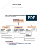 Comprension y Dedaccion de Textos Ii Semana 8 PC1