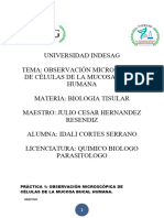 Observación de Células de Mucosa Bucal y Uso Del Microscopio