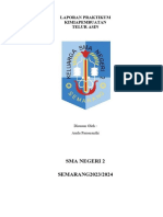 Laporan Praktikum Kimia Kelas 12