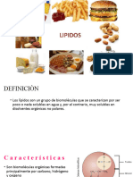 Lipidos Presentacion 035209