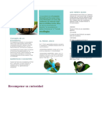 Ecosistema y Sus Elementos Triptico - PDF - Ecosistema - Organismos